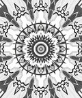 Black White Radial Geometric Design Rug