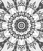 Black White Radial Geometric Design Rug
