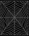 Striking Black White Cobweb Design Rug