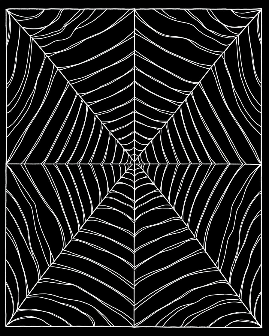 Striking Black White Cobweb Design Rug