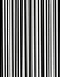 Bold Black White Vertical Stripes Rug