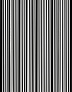 Bold Black White Vertical Stripes Rug