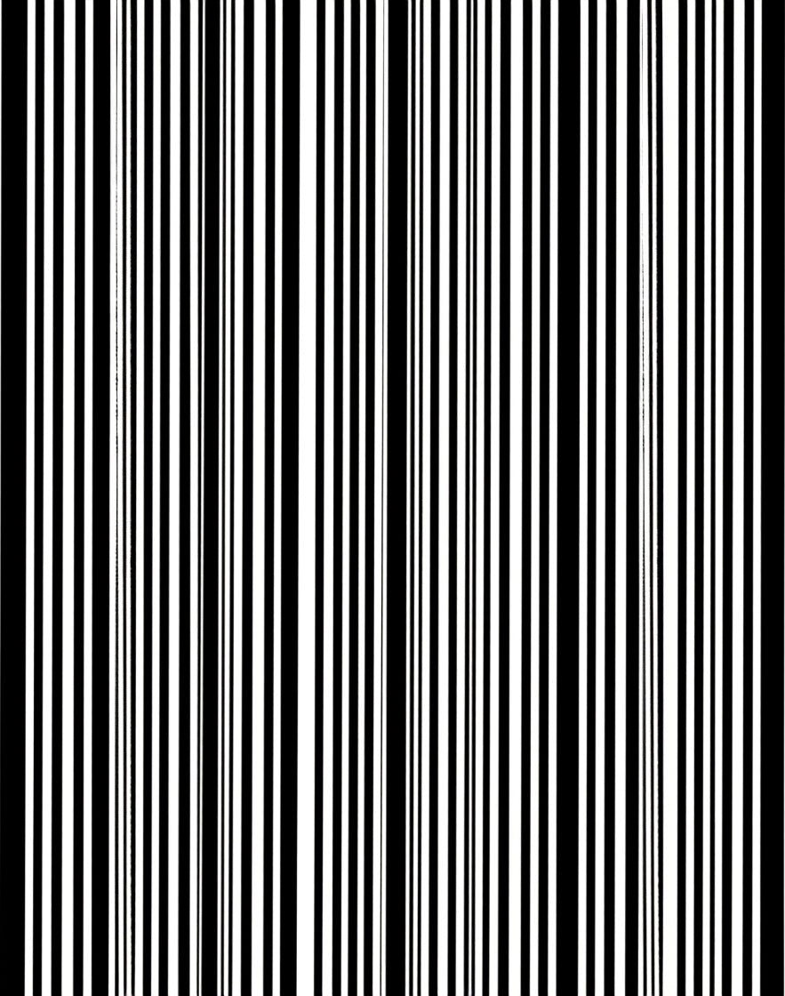 Bold Black White Vertical Stripes Rug