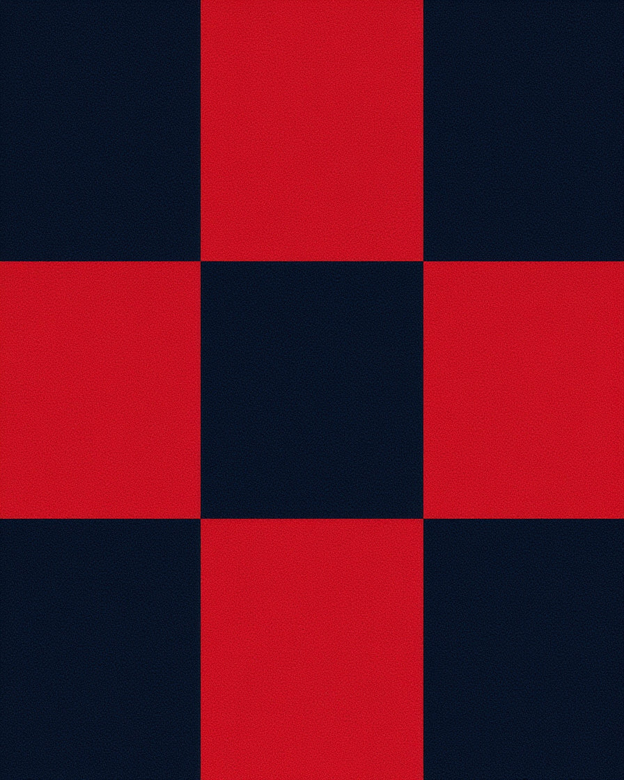 Red Black Bold Checkered Pattern Rug