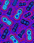 Vibrant Abstract Patterned Design Rug
