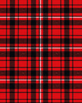 Classic Red Black Plaid Pattern Rug