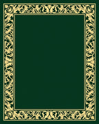 Ornate Floral Scrollwork Border Design Rug