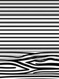 Striking Black White Abstract Pattern Design Rug