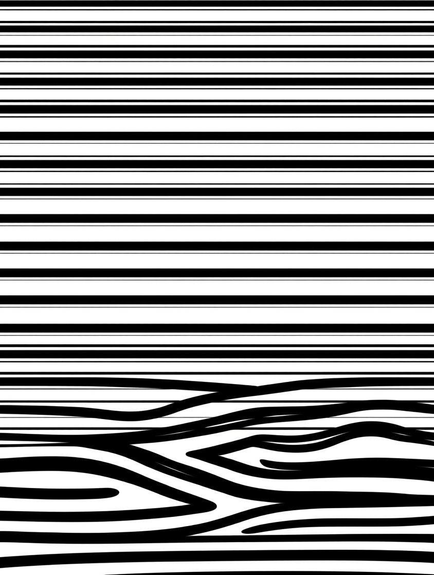 Striking Black White Abstract Pattern Design Rug