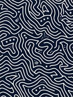 Winding Lines Star-Studded Navy Rug