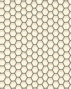 Black Hexagonal Grid Pattern Rug