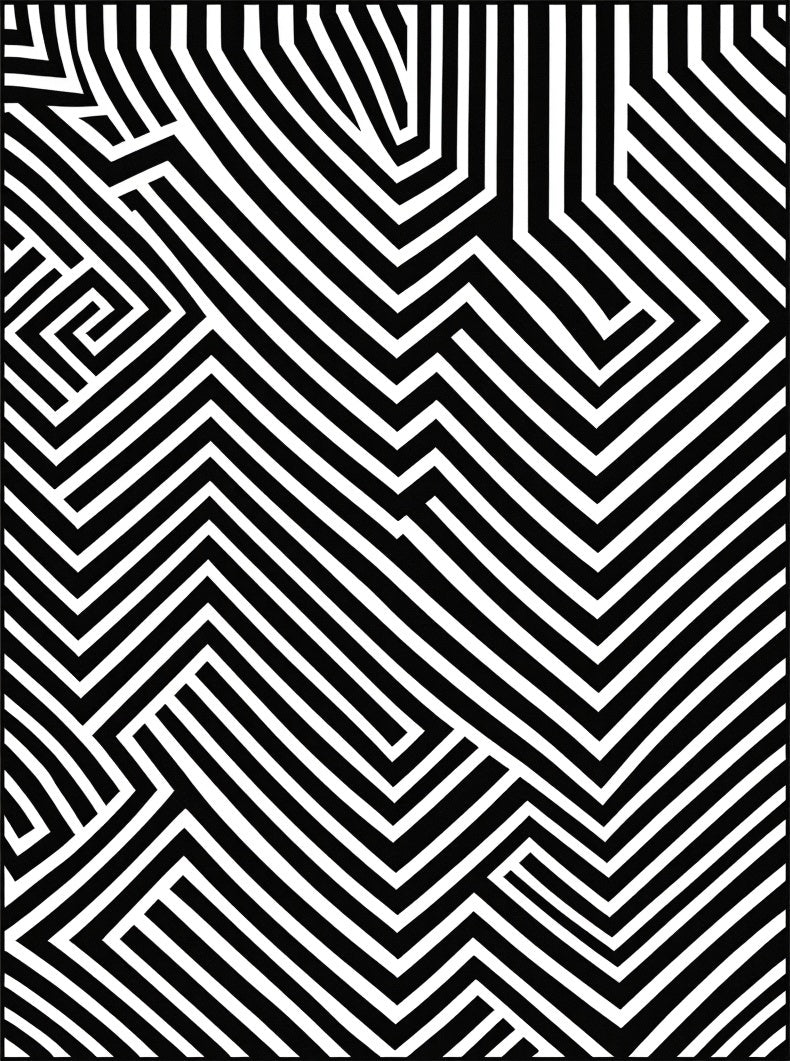Modern Black White Abstract Stripe Rug