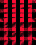 Bold Red Black Checked Geometric Rug