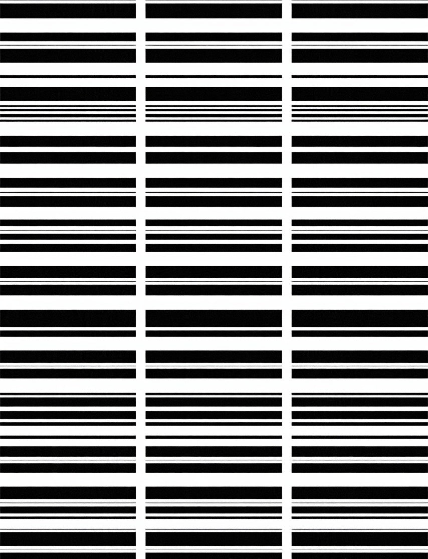 Modern Black White Stripe Pattern Rug