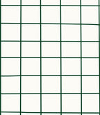 White And Green Grid Pattern Rug