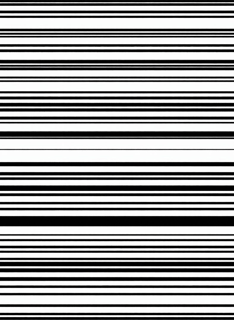 Modern Black White Stripe Pattern Rug