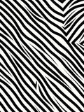 Bold Black White Striped Design Rug