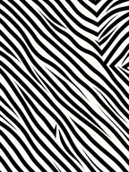 Bold Black White Striped Design Rug