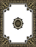 Ornate Black and Gold Floral Border Rug