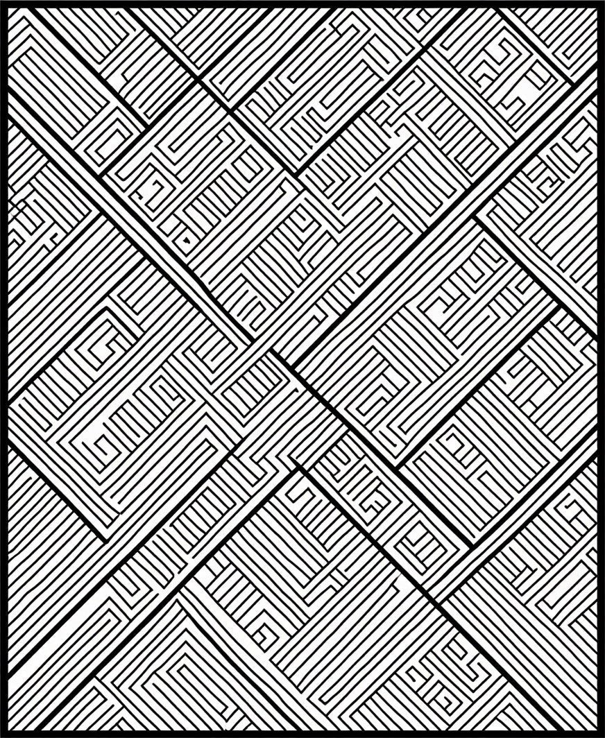 Intricate Black White Maze Pattern Rug