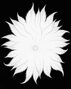 Delicate Feather Radiance Pattern Rug