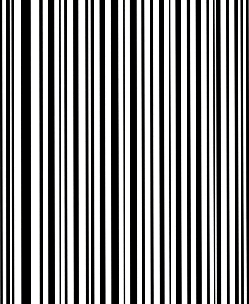 Bold Black White Stripe Pattern Rug
