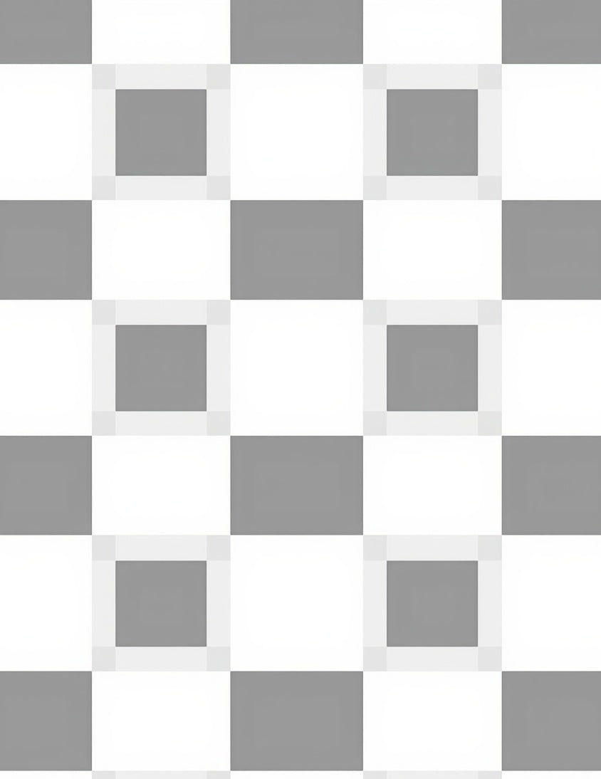 Simple Gray White Checkered Pattern Rug