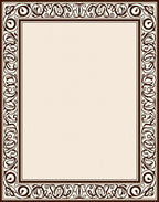 Elegant Scrollwork Border Design Rug