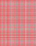 Red Gridded Modern Pattern Rug
