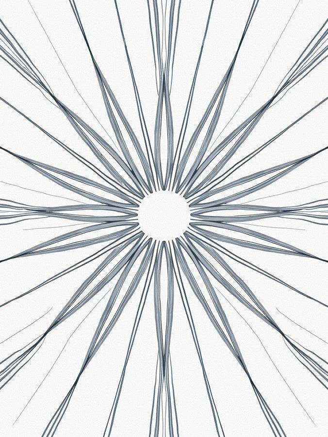 Abstract Radial Graphite Drawing Rug