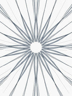 Abstract Radial Graphite Drawing Rug