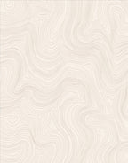 Abstract Contour Line Pattern Rug