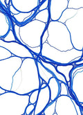 Abstract Blue Organic Lines Rug