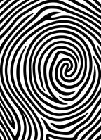 Monochromatic Swirl Pattern Design Rug
