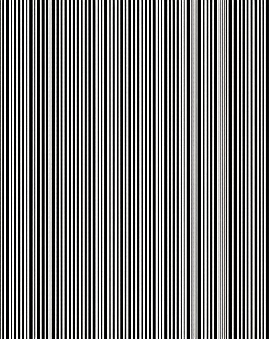 Modern Black White Stripe Rug