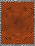 Orange Black Concentric Waves Rug