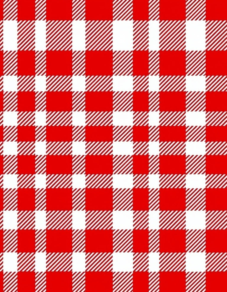 Classic Red White Gingham Plaid Rug