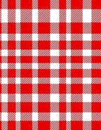 Classic Red White Gingham Plaid Rug