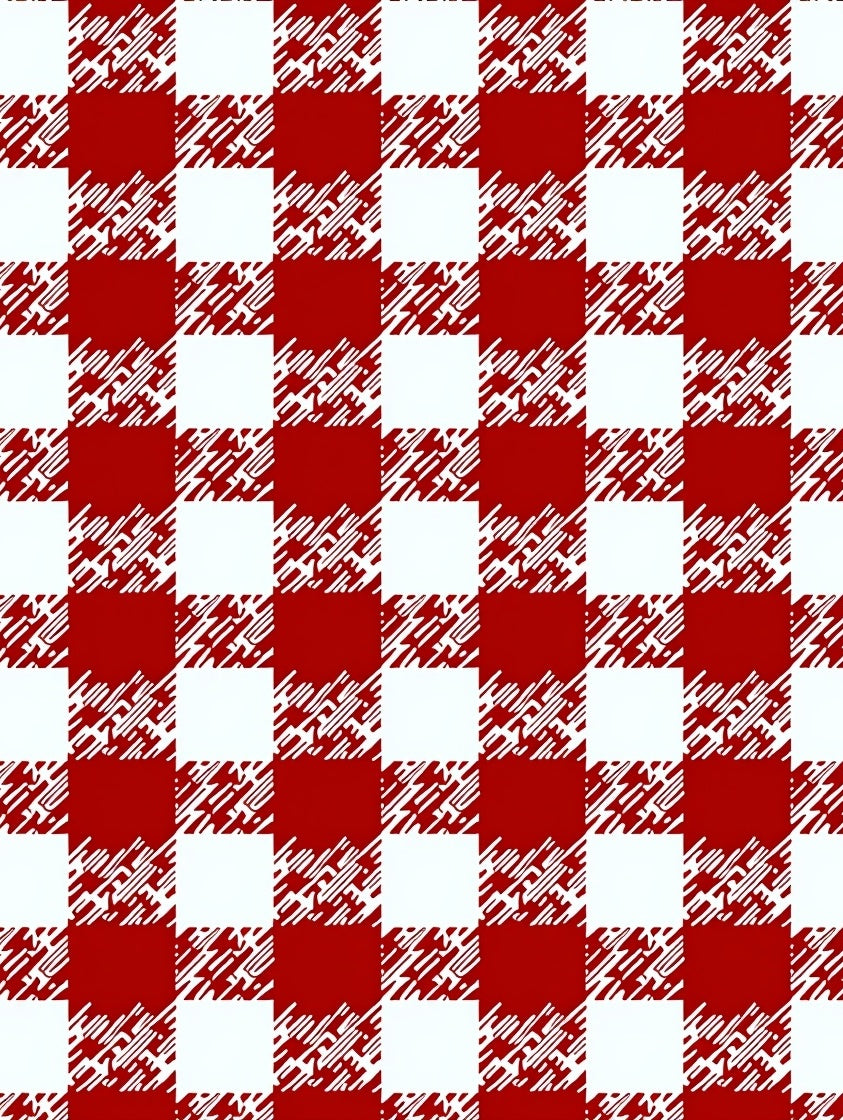 Red and White Buffalo Check Rug