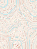 Abstract Topographic Line Art Rug