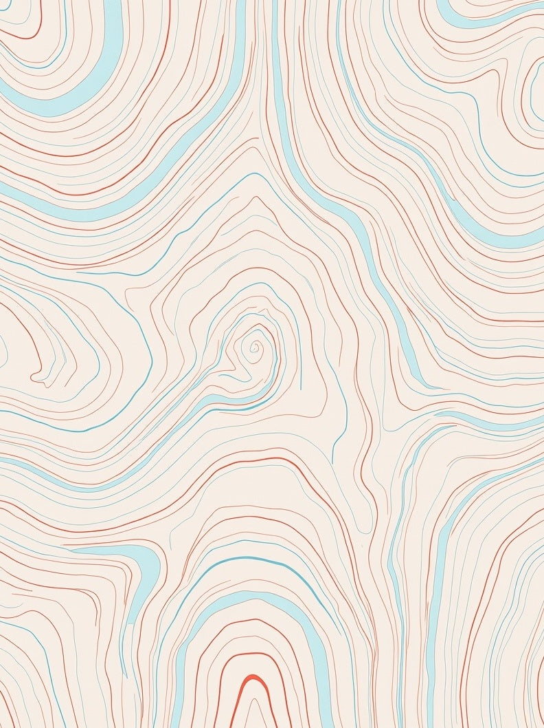 Abstract Topographic Line Art Rug