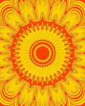 Radiant Sunburst Mandala Floral Pattern Rug