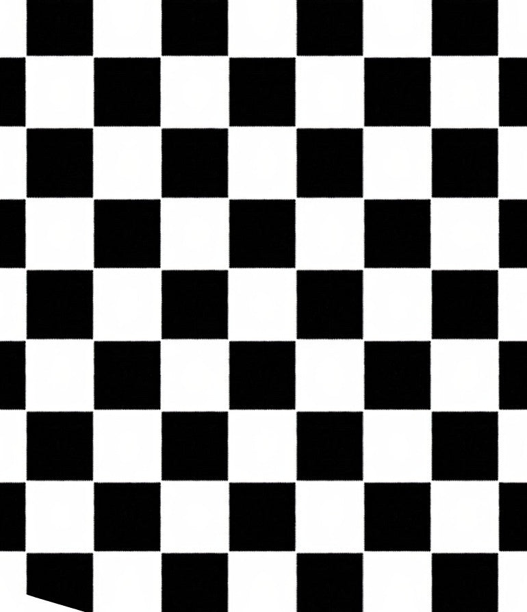 Classic Black White Checkerboard Pattern Rug
