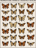 Vintage Butterfly Collection Pattern Rug