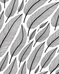 Feather Pattern In Black And White Rug