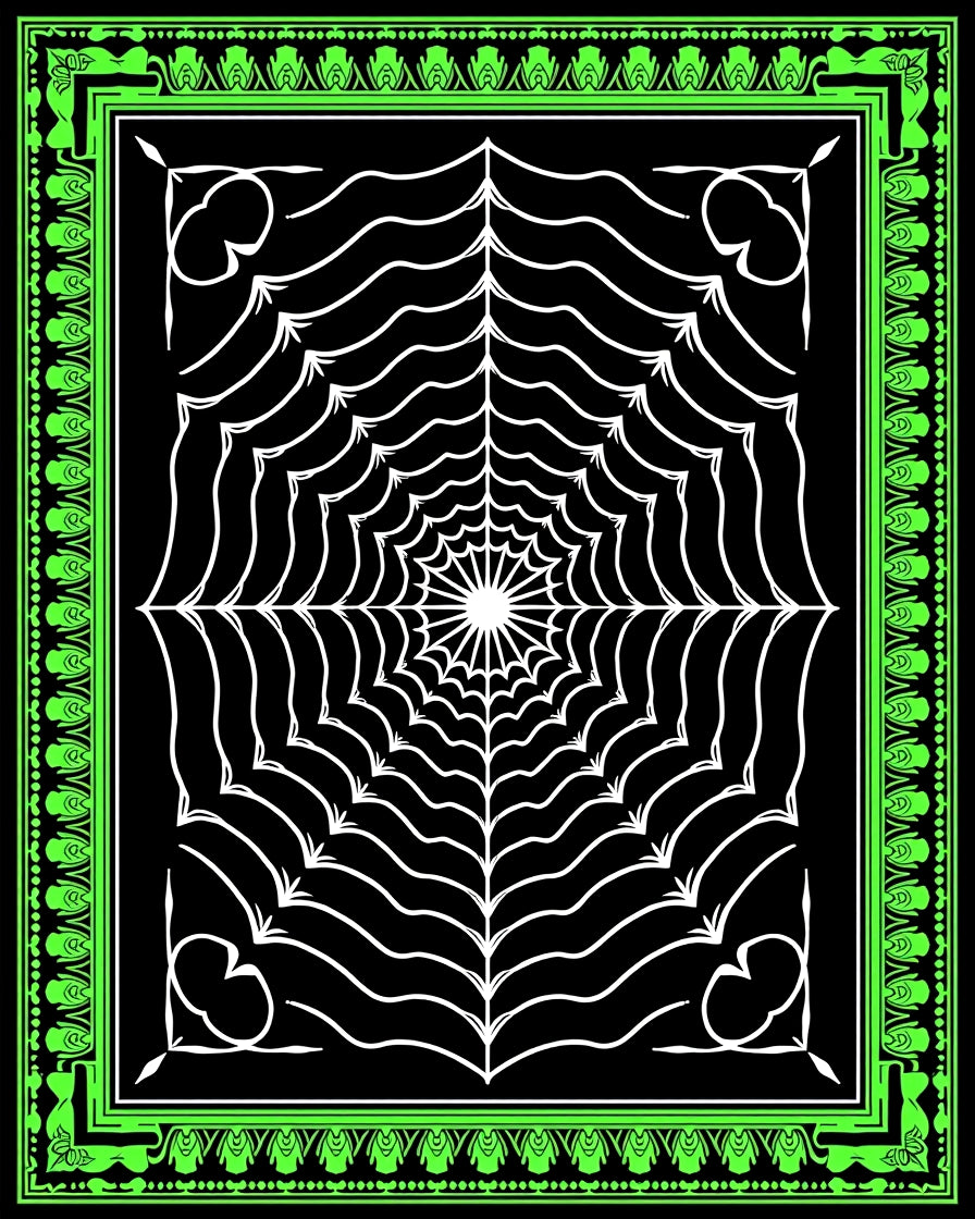 Striking Black White Spiderweb Jewel Rug