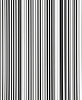 Bold Vertical Stripe Pattern Rug
