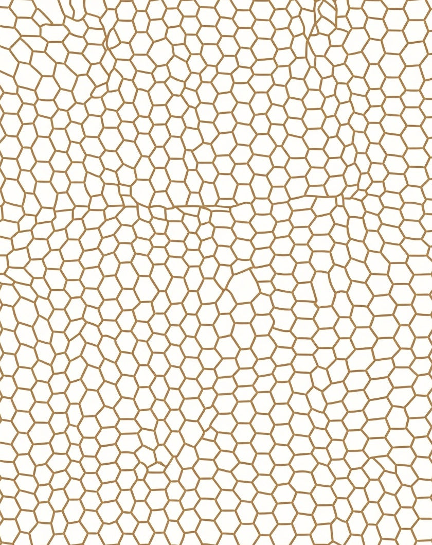 Organic Hexagonal Pattern Brown Lines Rug