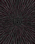 Radiating Lines Boho Pattern Rug