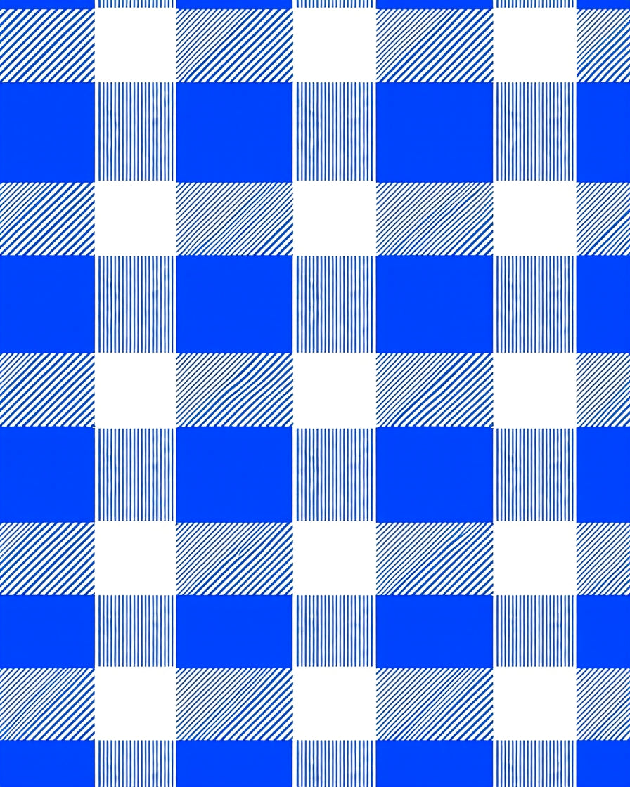 Bold Blue White Buffalo Check Print Rug